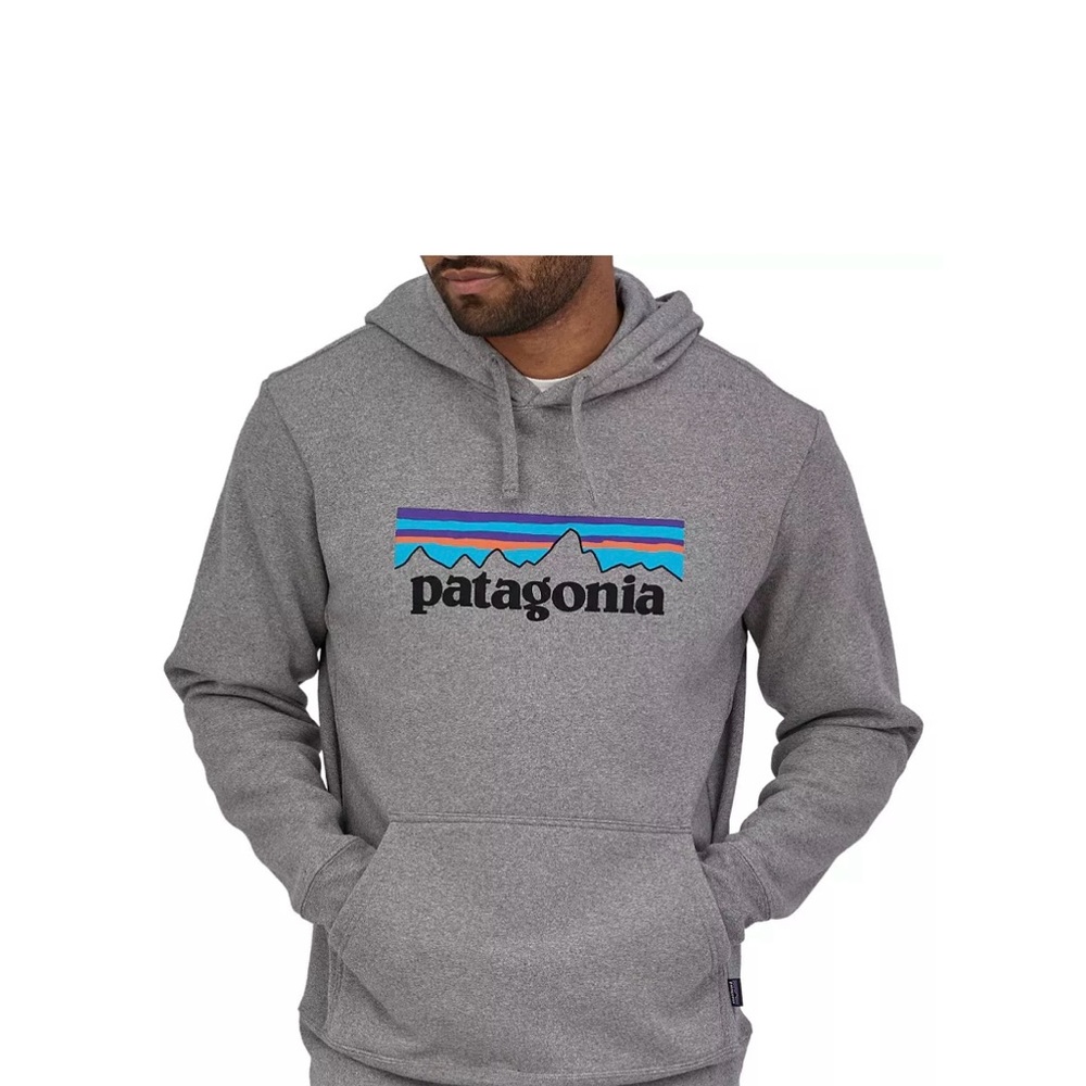 Patagonia Gray Men's Hoodie